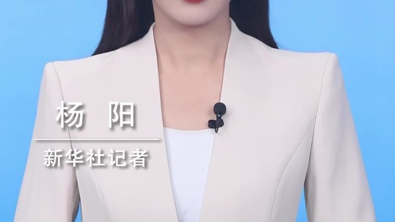动态图表模板：如何选择合适的免费下载资源